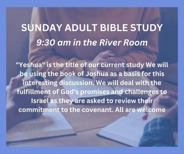 Sunday Adult Bible Study