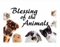 Blessing of the Animals - This Sunday